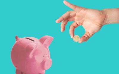 Slim Budgetteren voor de Nederlandse Digitale Levensstijl
